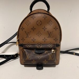 SOLD Louis Vuitton Palm Springs Mini Reverse Mono
